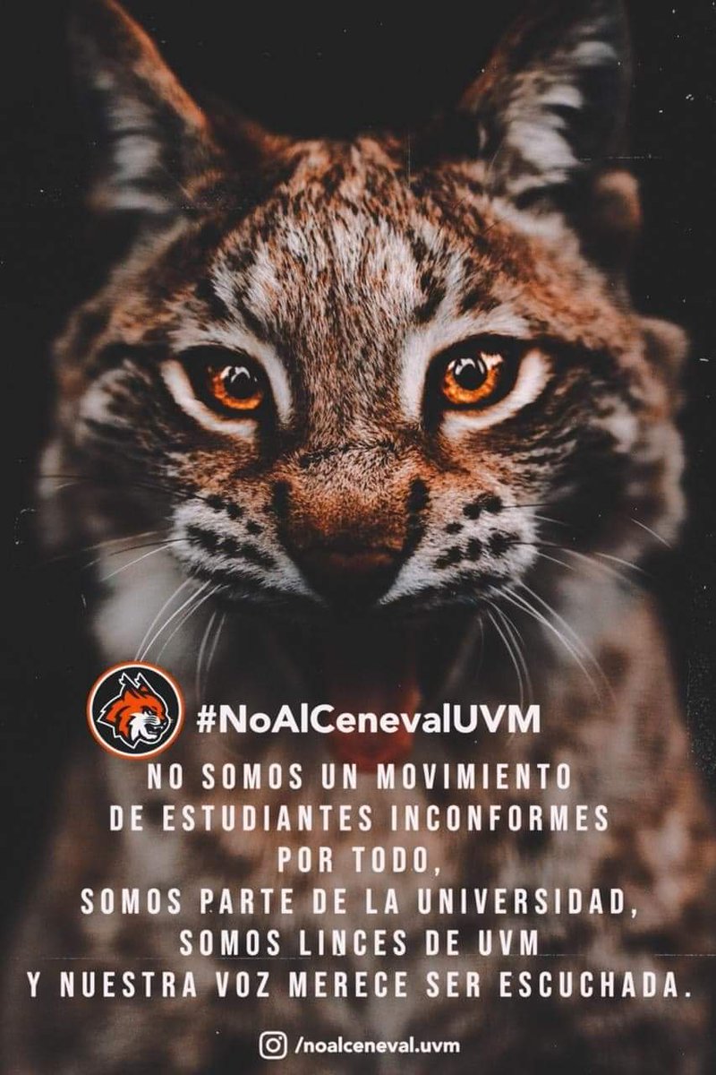 KasNaranjoM's tweet photo. Dicen que somos falsos, que no somos parte de sus estudiantes, que esto solo es un chisme y que nos pongamos la playera, aquí la pregunta es: ¿Ustedes cuando se la han puesto por nosotros? @UVMMEXICO
#noalcenevaluvm #UVM https://t.co/h4VuyQQeps