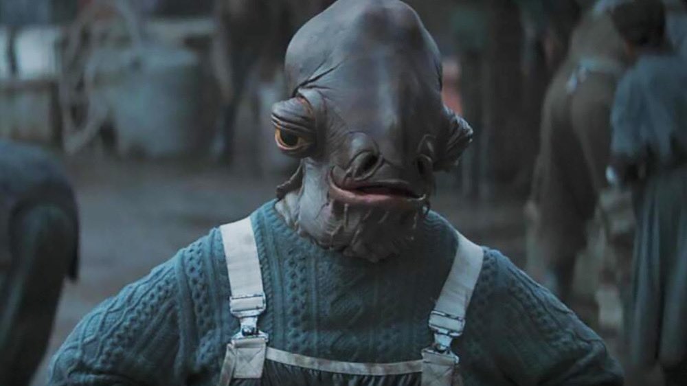 I love Mando and I'm obsessed with this Mon Calamari in a fisherman sweater