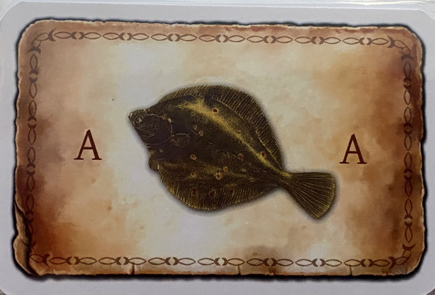 ヤス ボ育て中 ヌースフィヨルドのカレイデッキが届いたのでスリーブに入れてたんですが とんでもないことに気付いた ヒラメやん それともノルウェーのカレイは左向き