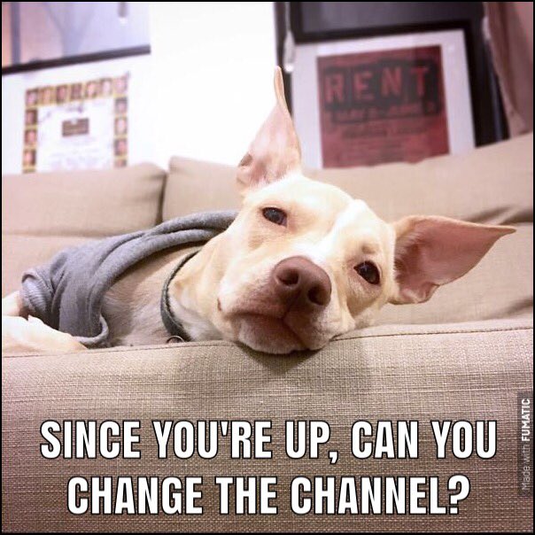 Patrick Santucci - WOTY: “HEAR” tweet media