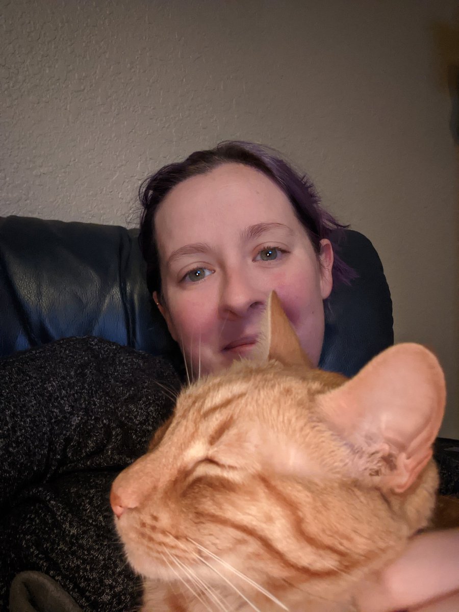 RachelSandidge's tweet photo. Watching some British baking show with Mr Dexter. https://t.co/Z2HiC7PuyD