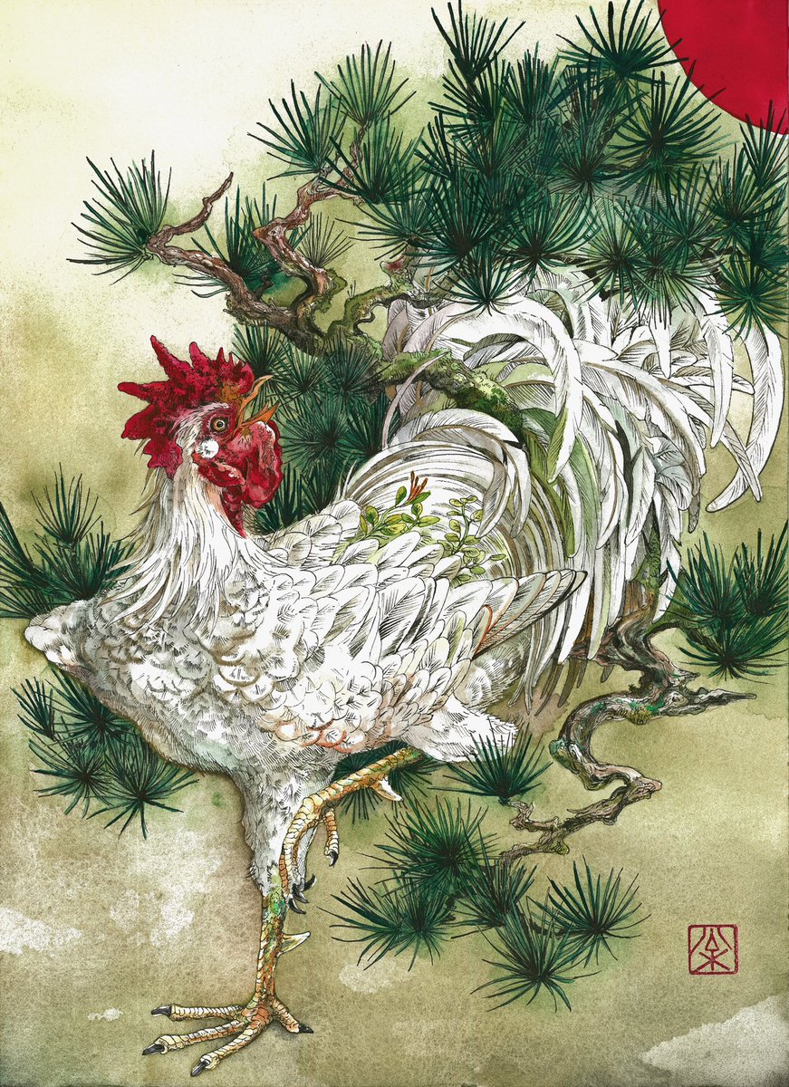 鶏好きとしてはたまらん かっこいいんですよ 雄鶏 T Co Bk マツダケン 2 11 大阪2人展のイラスト