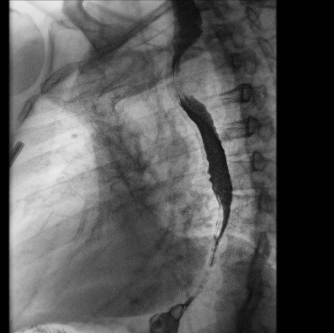 Darel Heitkamp, MD tweet media