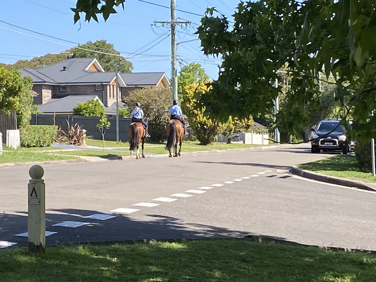 Live_At's tweet photo. Not exactly what you expect in suburban #hornsby streets... no idea why they are out! (Cool though). Any thoughts? https://t.co/w86ziYEONK