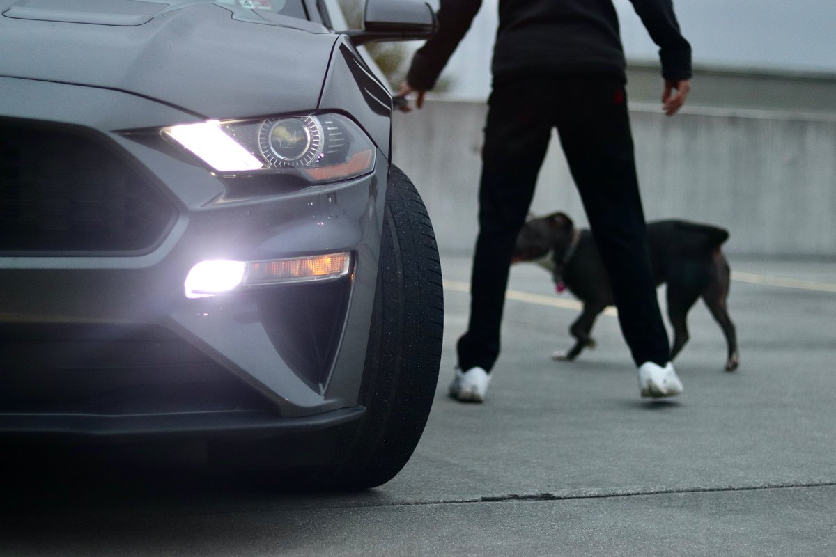 "Me and my ride pics"
"Me and my dog pics"
Photos by Samantha Charnock