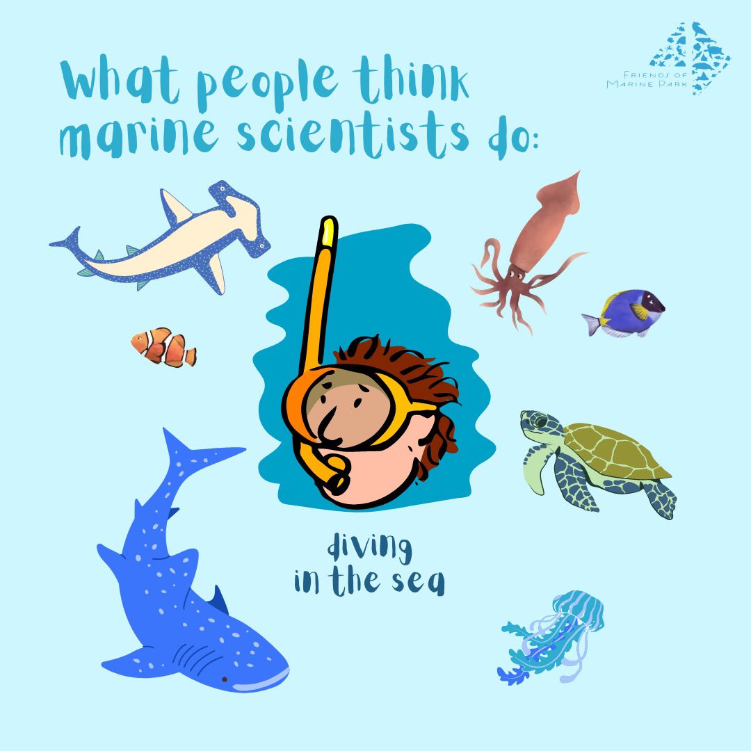 sgmarineparks's tweet photo. Who are the people in our neighborhood? Big shoutout to our multi-talented Marine Science Kakis! #FriendsOfMarinePark #community #ocean #CoralReef #science https://t.co/jeasLNne8W