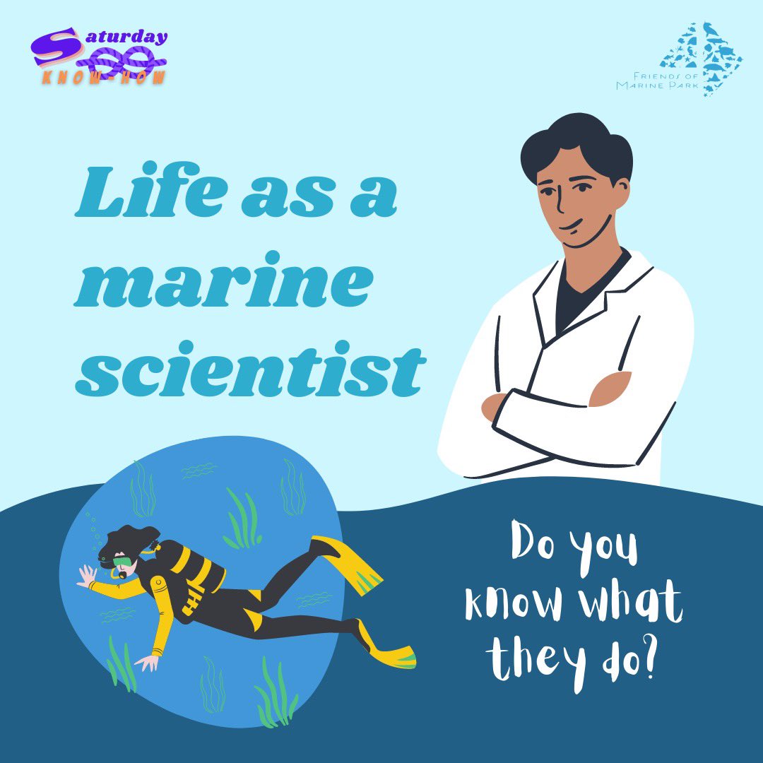 sgmarineparks's tweet photo. Who are the people in our neighborhood? Big shoutout to our multi-talented Marine Science Kakis! #FriendsOfMarinePark #community #ocean #CoralReef #science https://t.co/jeasLNne8W