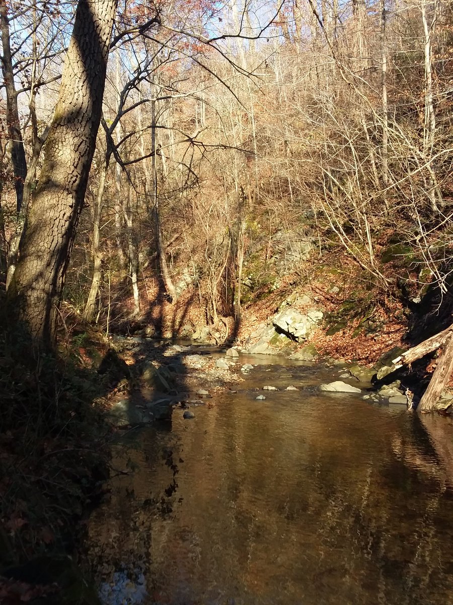 Diane_Dee's tweet image. 