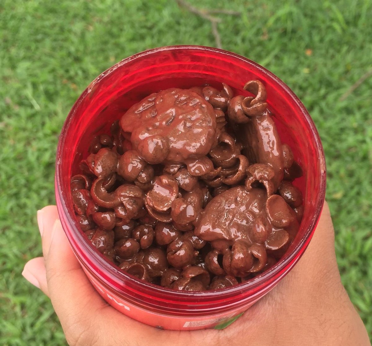 Juliet_NAAW's tweet image. Mouthgasm Crunchy
🍪coco crunch rangup
🍪cookies flake 
🍪coklat premium + serbuk kopi =mocha
🍫RM15.90(300gm)
🔮tak kedekut coklat
🔮tak muak
🔮mudah dibawa kemana-mana
🔮boleh terus di makan

ig : MouthgasmPenang 
Shopee! shopee.com.my/7naaw/33562739…
❀DROPSHIP &amp;amp; MINI AGENT WANTED❀