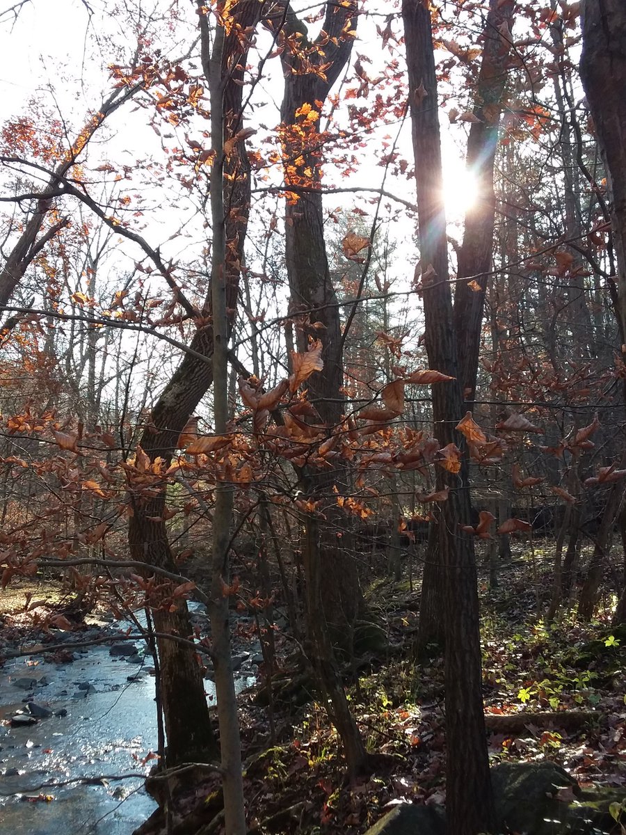 Diane_Dee's tweet image. 