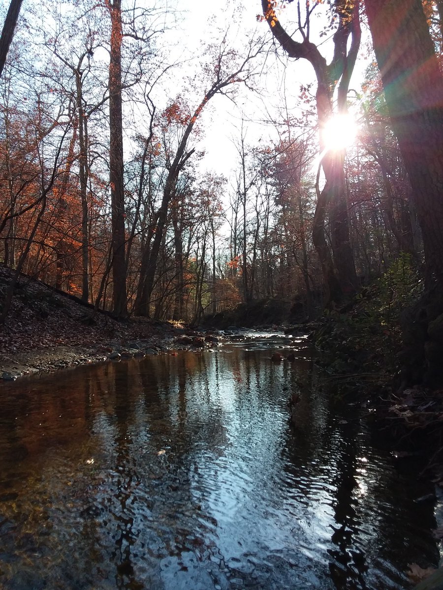 Diane_Dee's tweet image. 