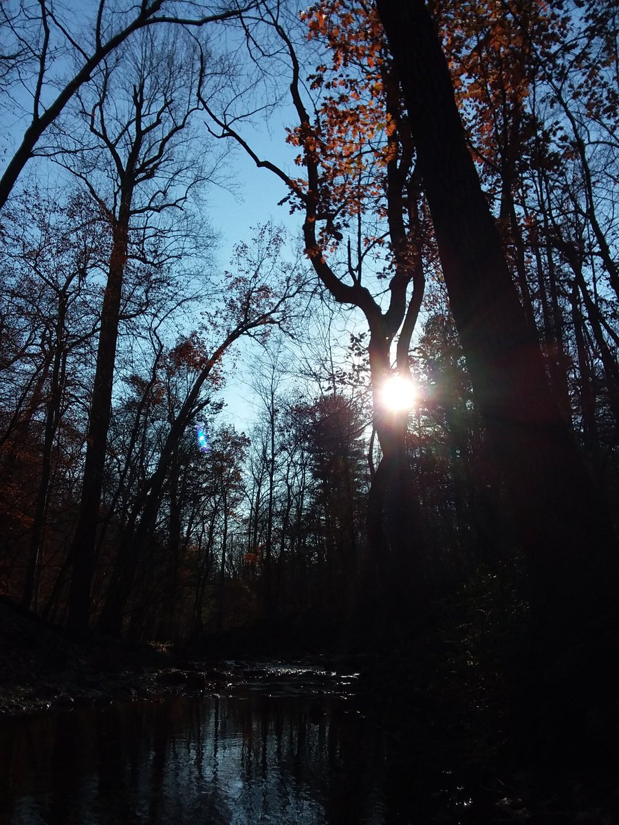 Diane_Dee's tweet image. 