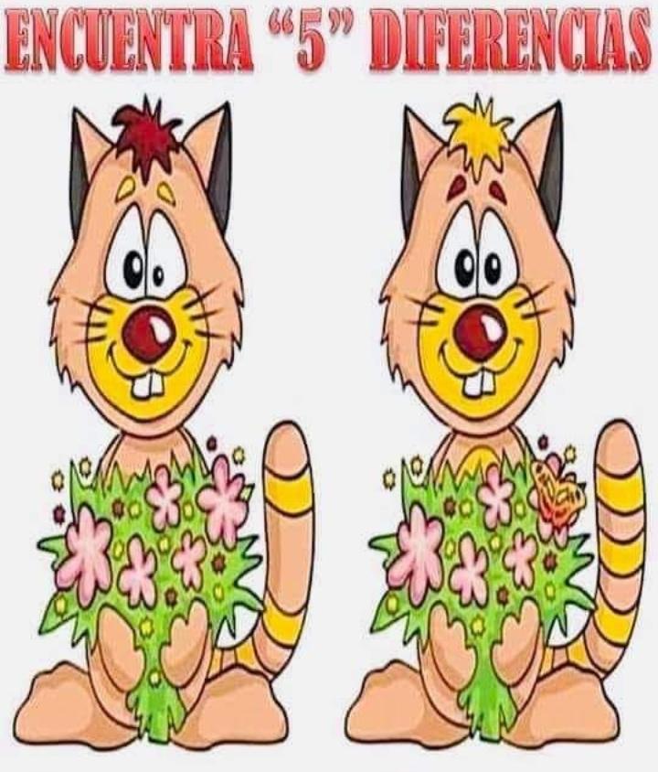 Lux_becerril's tweet photo. Comenta cuántas encontraste
🤪🤪🤪🤪 https://t.co/SwdGcIn2M4