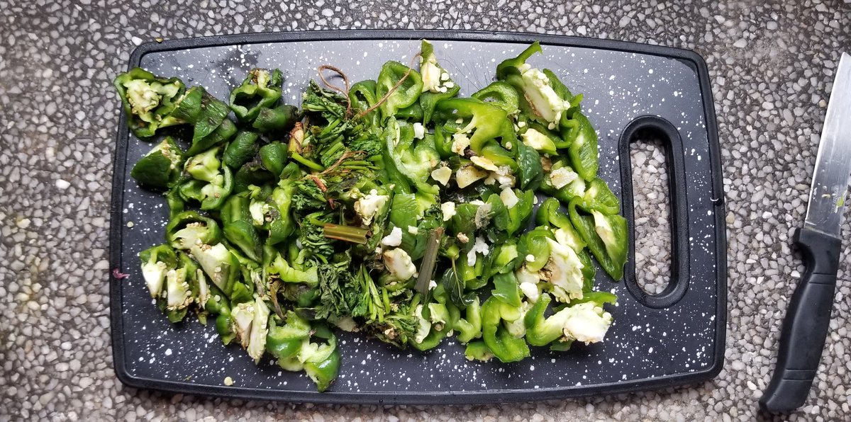 Greens treat for them. These pilipili hohos and dhanias had overstayed in the fridge.