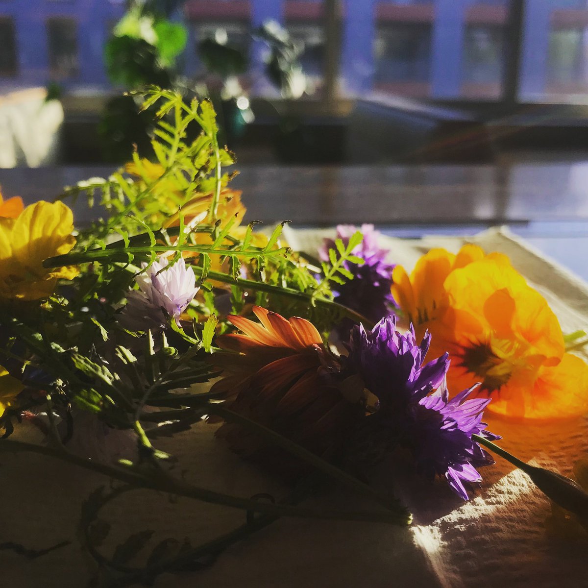 NobleRotPDX's tweet photo. In light of Governor Brown’s updated dining restrictions, we just want to say thank for your ongoing support as we continue to trudge through 2020. https://t.co/lZRDPtYzv2