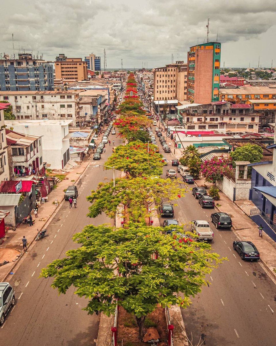 AfricaMatters15's tweet photo. 📍The famous Broad Street, Monrovia Liberia🇱🇷🌍

📸: @gioboyjoma
#city #jostravel #liberia #blackvoyageurs #libpositives  #56daysofafrica #africamatters #africamattersinitiative #visitliberia #jostravel #tstmkrsafrica  #mybeautifulafrica #africa #westafrica #worldtoafrica https://t.co/fosYOC7IQs