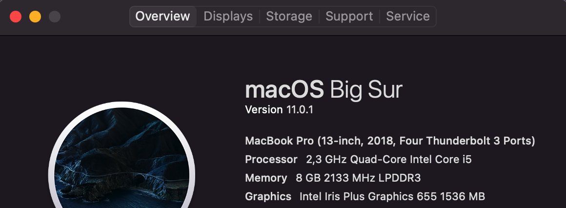 Success installing. 😃😃  #BigSur