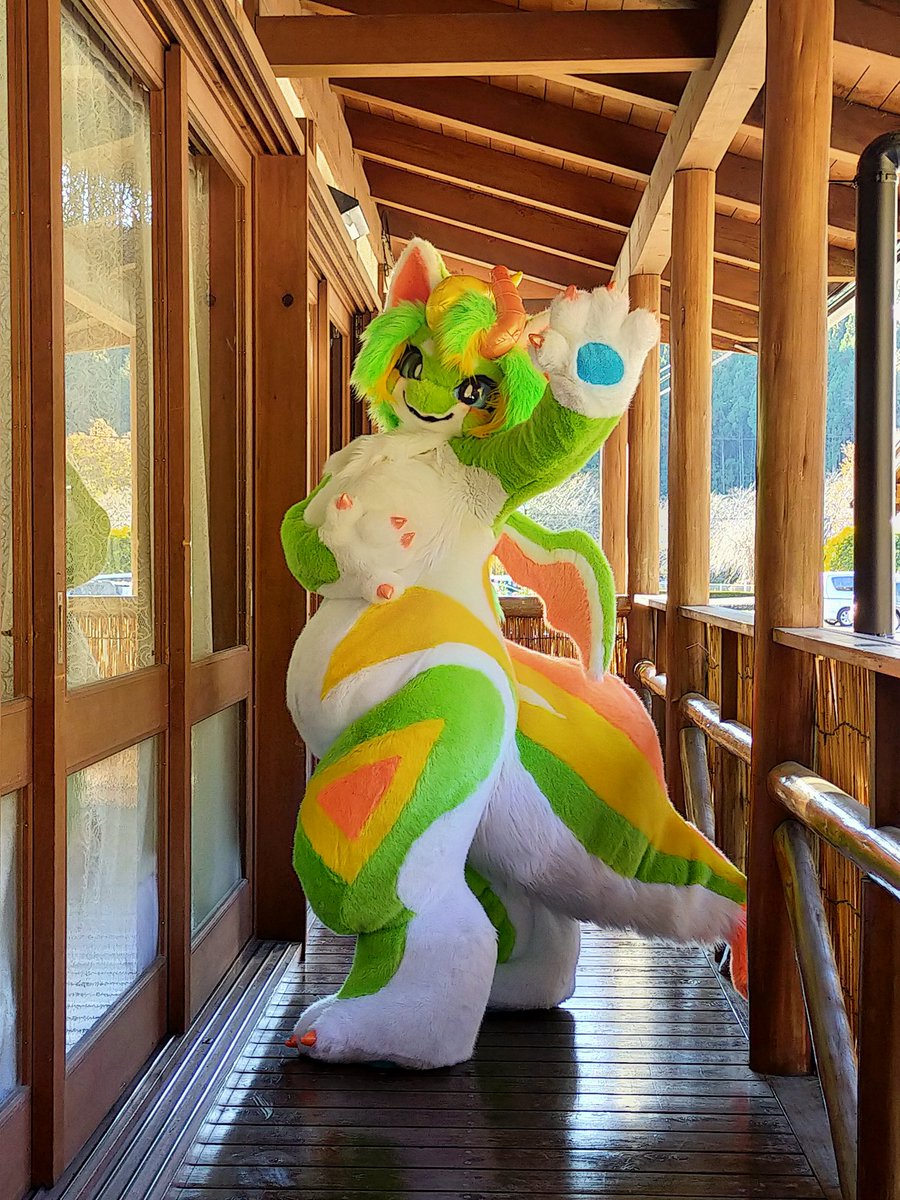 うりいぬ🐾 tweet media