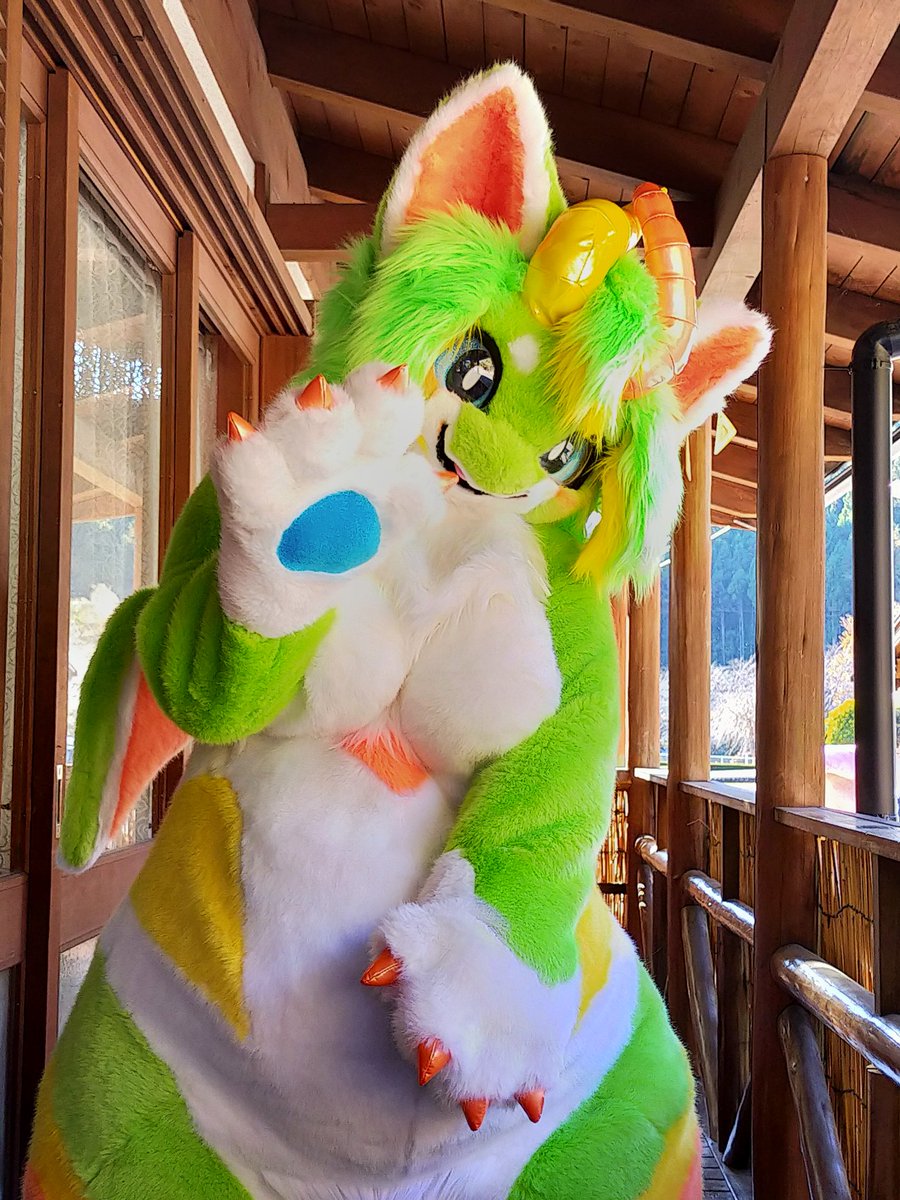 うりいぬ🐾 tweet media