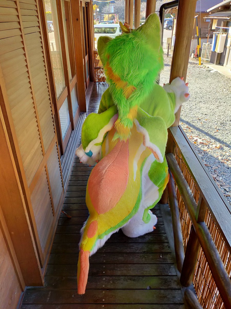 うりいぬ🐾 tweet media