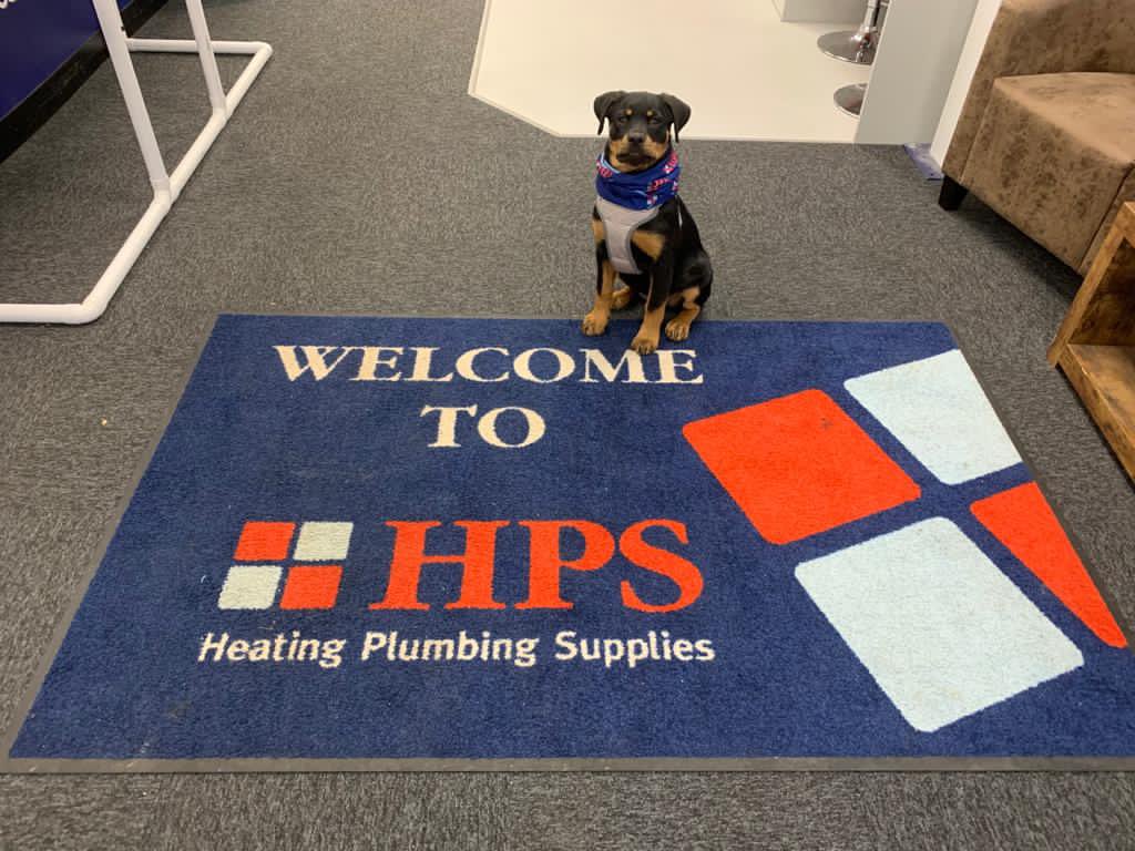 Our new recruit!! (We wish) look how cute Lola is rocking her HPS Snood.