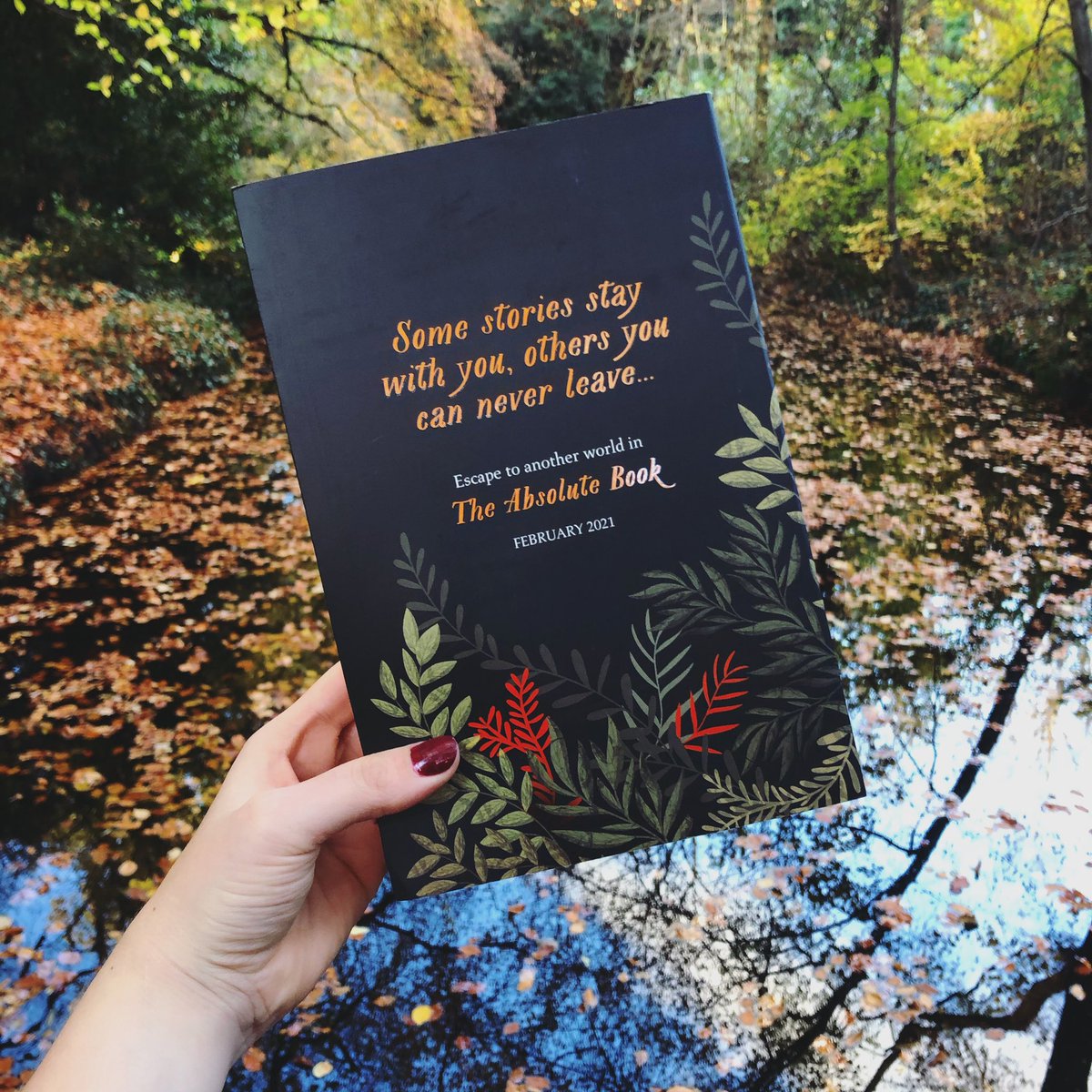 MichaelJBooks's tweet photo. Some stories never leave you, 
others you can never leave...

🍁’Mind-blowing’ - @lainitaylor 
🌿‘Gorgeously written’ - @DebHarkness 

Proofs have landed for @ElizabethKnoxNZ’s unmissable #TheAbsoluteBook, &amp; we have 3 to giveaway! 

🌿Retweet by midnight on Monday
🍄UK &amp; Ire only https://t.co/N9p4TCbIn9