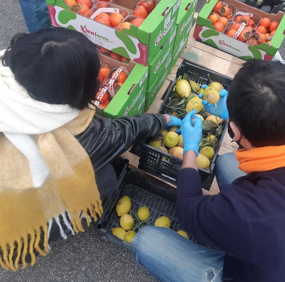 Dopo il recupero delle eccedenze dell'Ortomercato ieri x salvare frutta e verdura dallo spreco della grande distribuzione, oggi le #StaffettediMutuoSoccorso vi aspettano a <a href="/sms_milano/">SMS</a> x il Banco di #MutuoSoccorso e #consegnesolidali! #paccosolidale #staffette