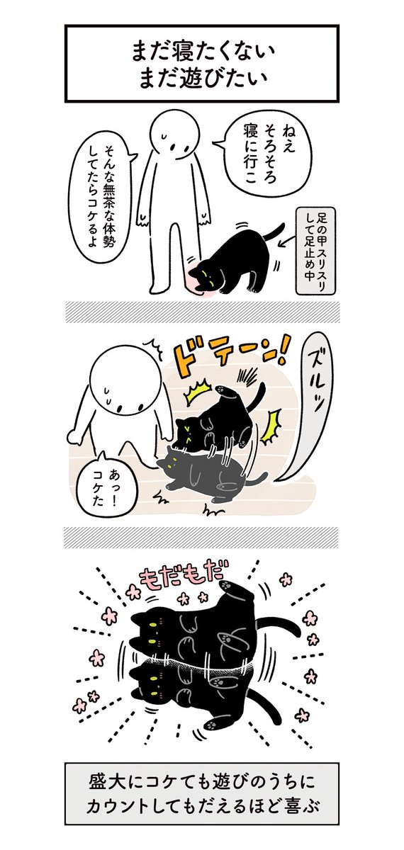 「寝る前にひと遊びしたい」というささやかな願望をセルフで叶えて満足しているねこの絵日記(3枚ある)
#ろんの絵日記 