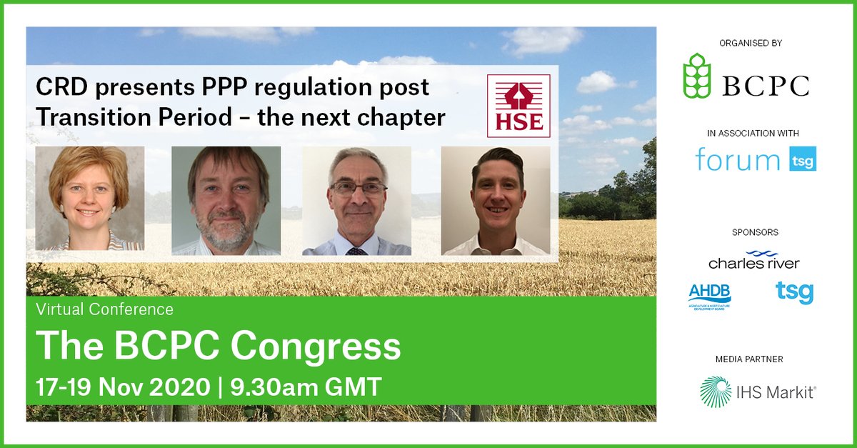 TSG Forum tweet media