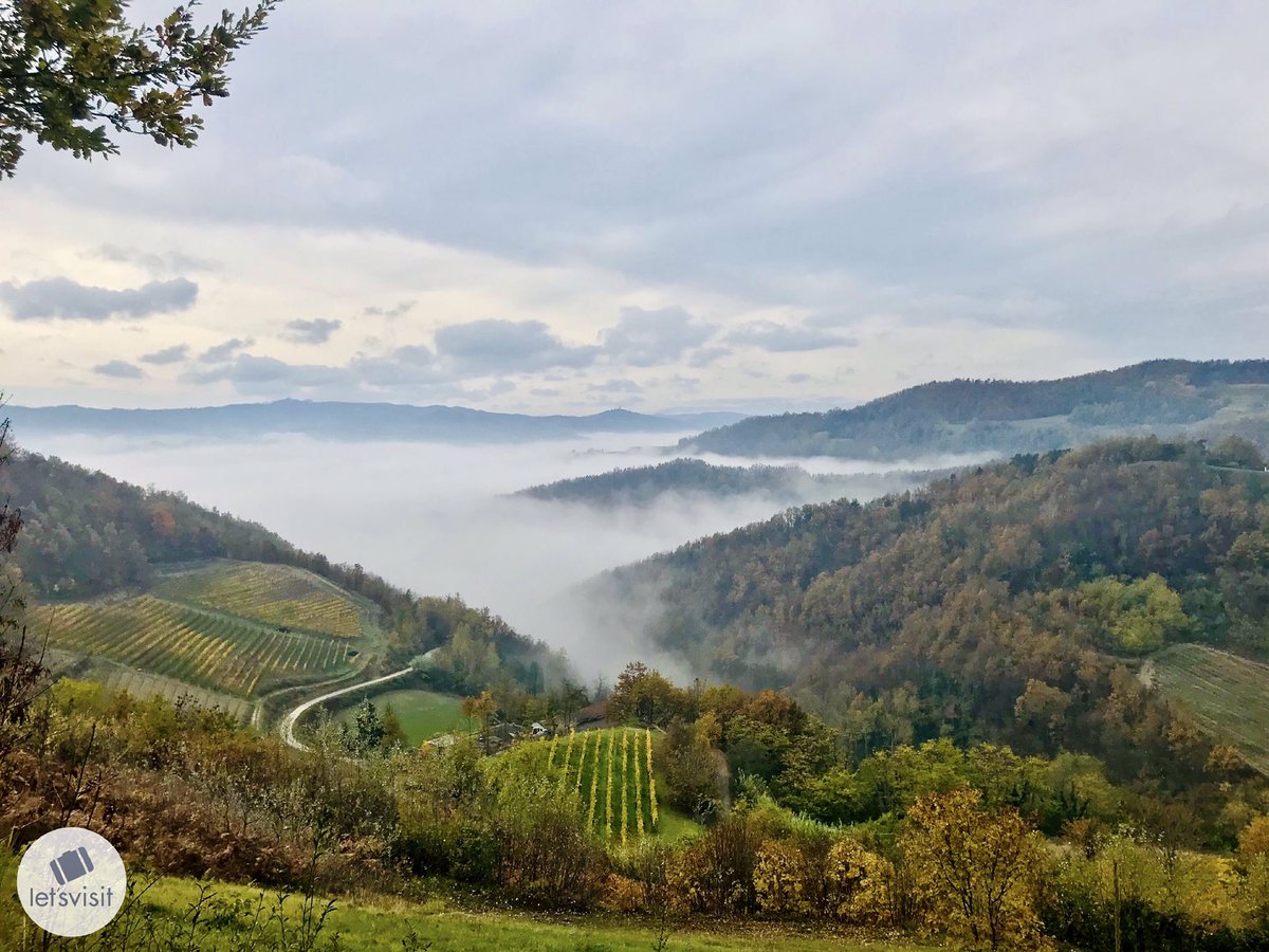 Let's Visit Piemonte tweet media