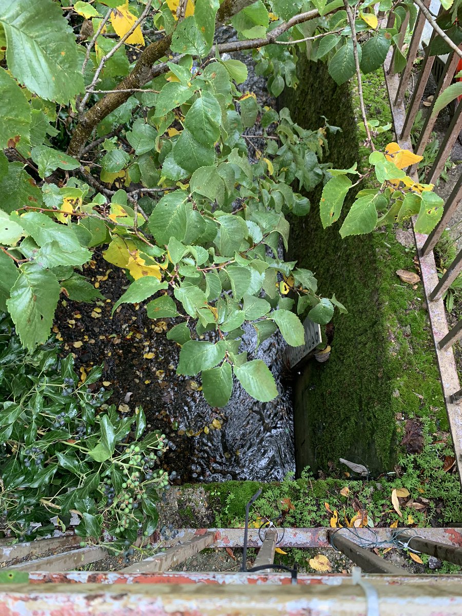 Worcester Park takes its name from Edward Somerset, the 4th Earl of Worcester, who was appointed Keeper of the Great Park in 1606 (he also served James I as Lord Privy Seal). Green Lane - a reminder of lost Arcadia - is where the  #BeverleyBrook re-emerges