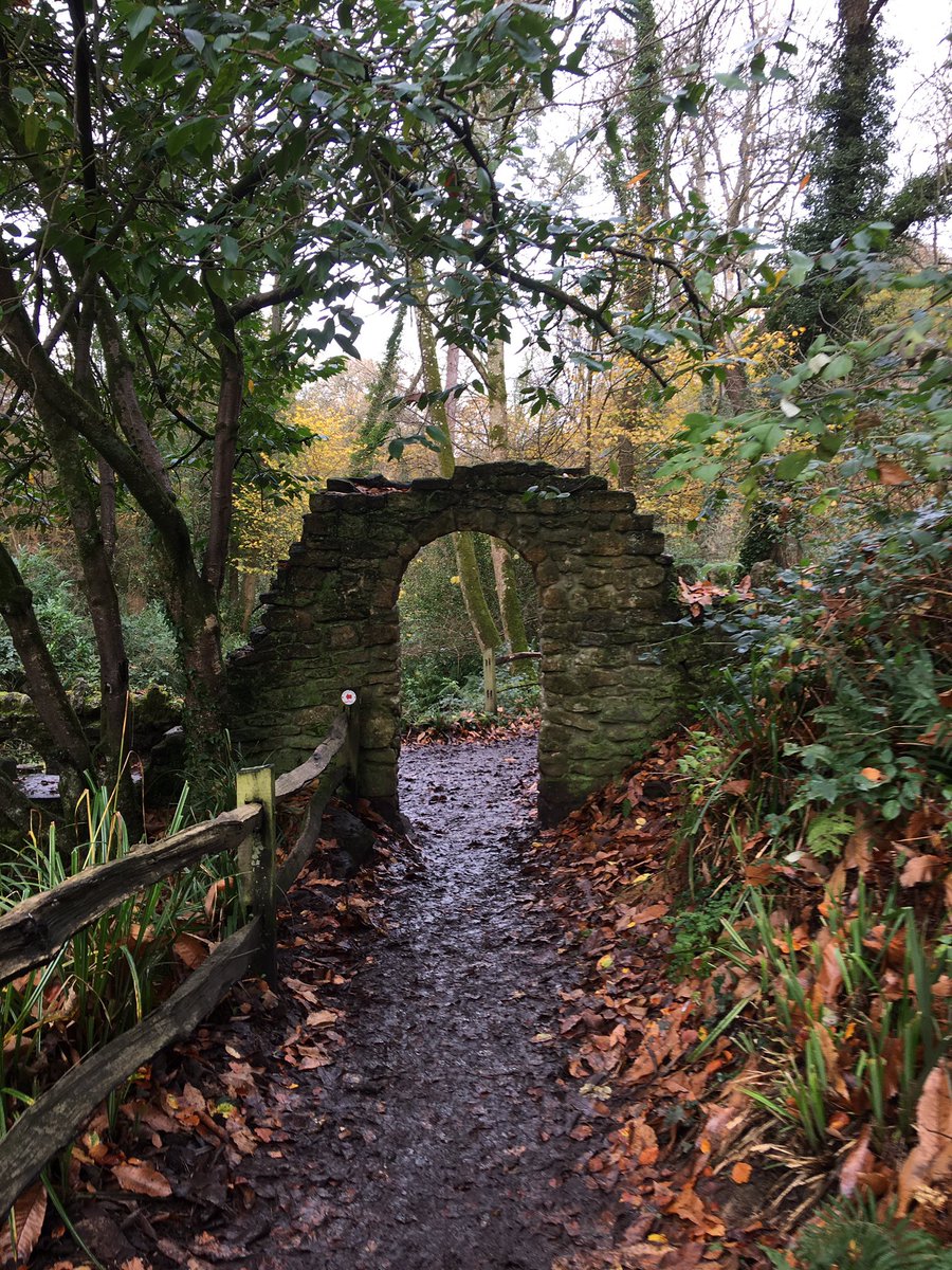 Spitfiredame tweet media