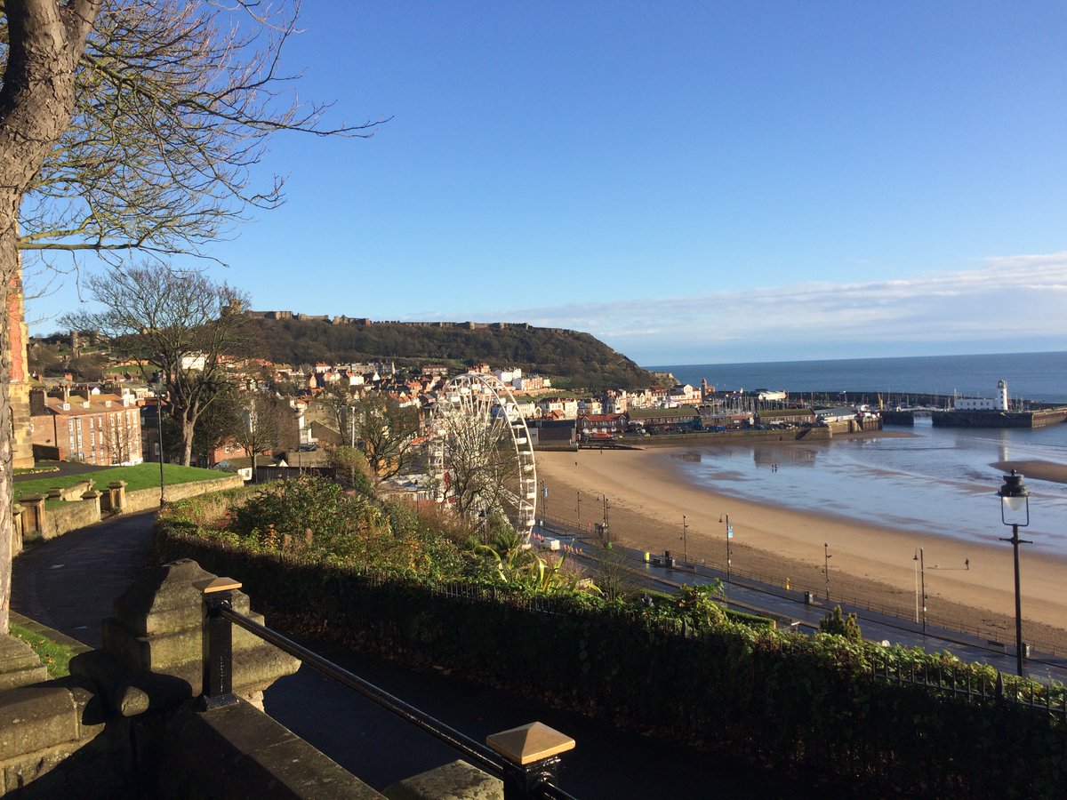 Faith Young Writer tweet media