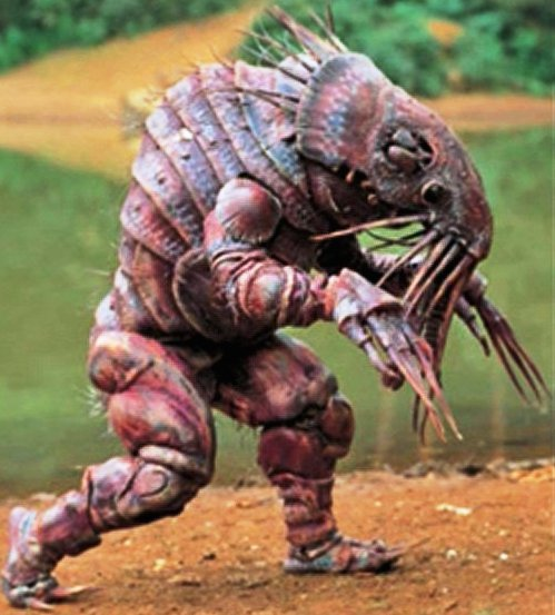 で んか Tokibosi 仮面ライダーblack にゴキブリ怪人 出なくて本当によかった あのリアル志向のゴルゴムがゴキブリ怪人造ってたらと思うと 画像はノミ怪人 T Co 3itjylccbr Twitter