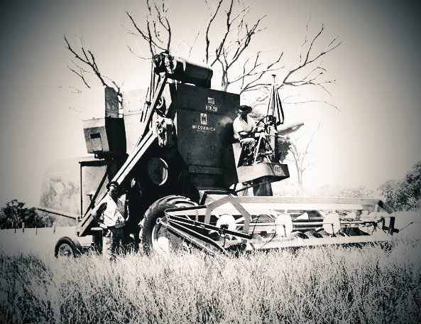 Mary_Shelley's tweet photo. 'Were the big combines changed it all, work of so many men. But were  things to awe. Some took to them strange-like, gatherings at dark, and that.
Accidents what weren't. Said, the machines asked it.'

- Alf Dunnock, #Hookland Rural History Project, 1978

 #HRHP
@HooklandGuide https://t.co/dFj1yqJ2SC