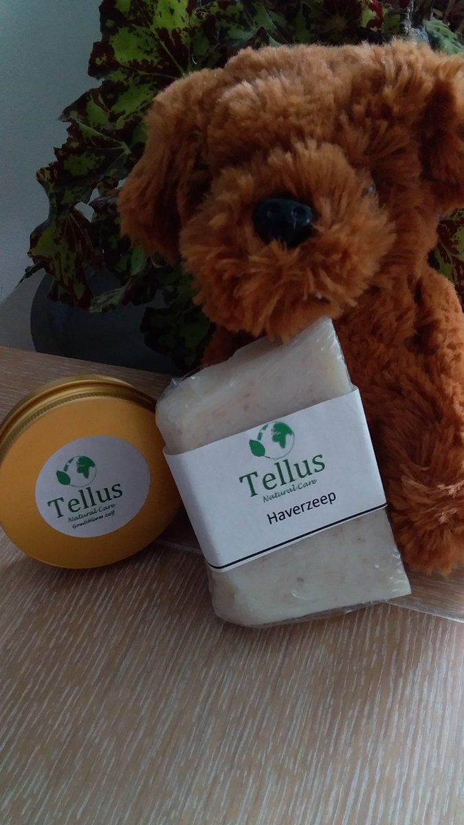 kluizenares's tweet photo. Zoek je nog een leuk cadeau?
Natuurlijke verzorgingsproducten, handgemaakt, zonder synthetische producten of conserveringsmiddelen.
#Solidparfum #heilzamezeep #zalven #mooiehuid 
https://t.co/uoNVt1hjhu https://t.co/fZz0Tu7Sfp