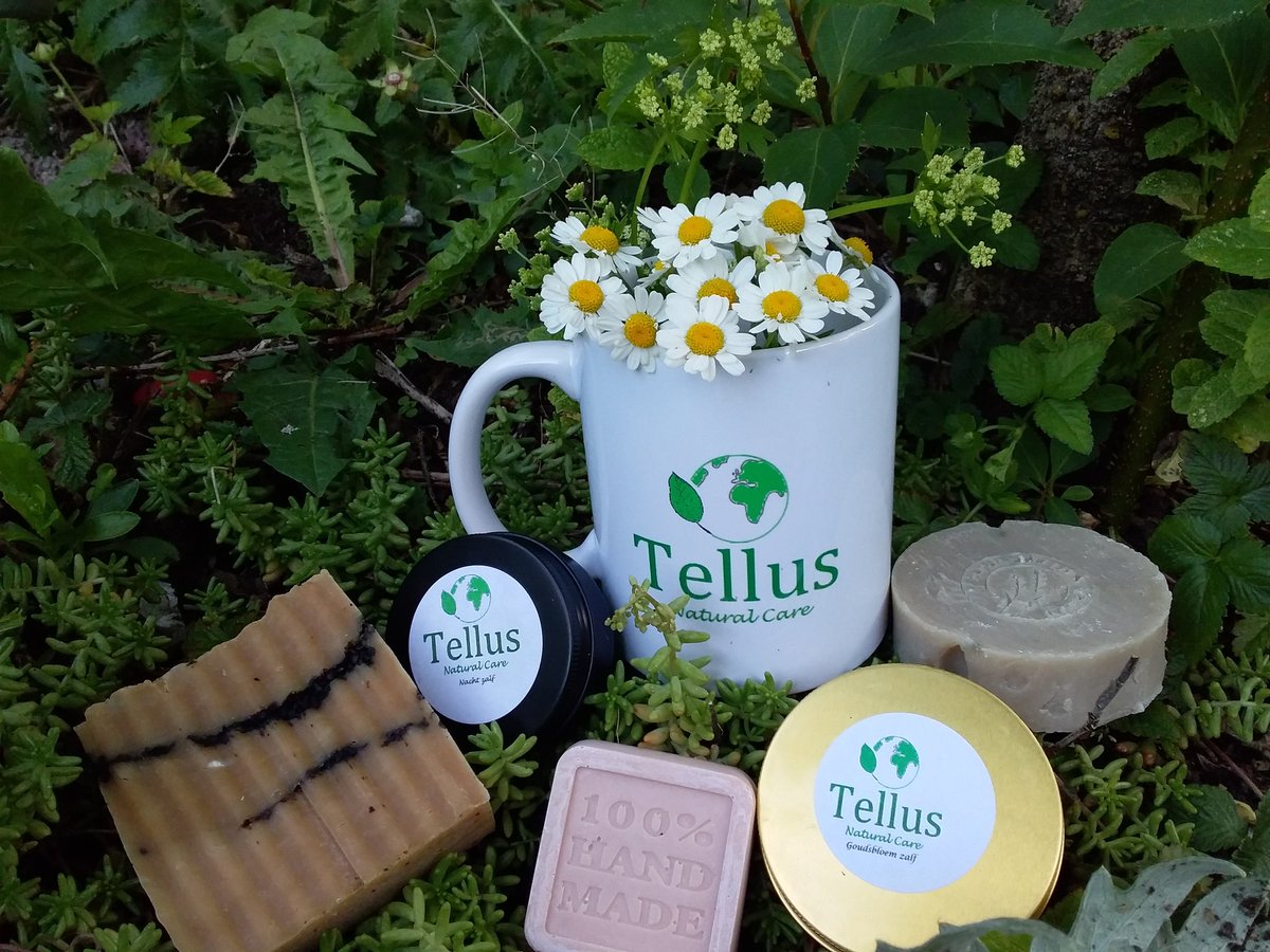 kluizenares's tweet photo. Zoek je nog een leuk cadeau?
Natuurlijke verzorgingsproducten, handgemaakt, zonder synthetische producten of conserveringsmiddelen.
#Solidparfum #heilzamezeep #zalven #mooiehuid 
https://t.co/uoNVt1hjhu https://t.co/fZz0Tu7Sfp