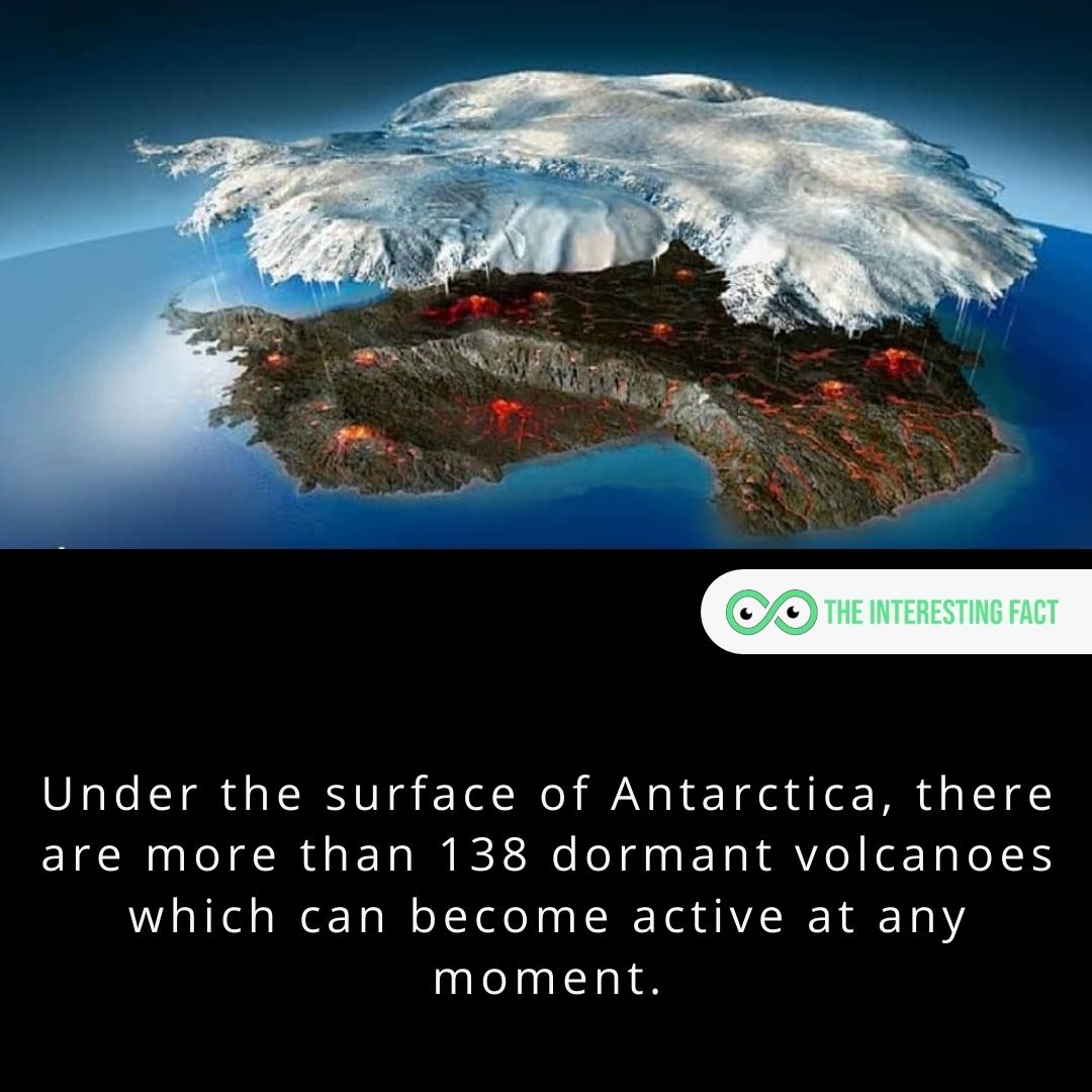 Under the surface of Antarctica, there are more than 138 dormant volcanoes which can become active at any moment.

#facts #factsoflife #fact #didyouknow #allfacts #mysteriousfacts #factz #factzoflife #interestingfacts #knowledgeispower #wtffacts