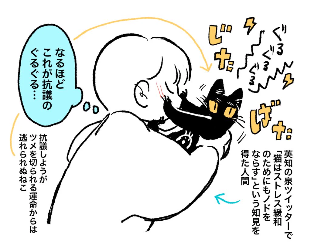 猫の”ぐるぐる”には様々な意味がある？やっぱり猫は複雑！