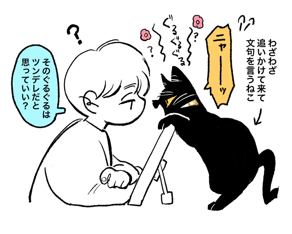 猫の”ぐるぐる”には様々な意味がある？やっぱり猫は複雑！