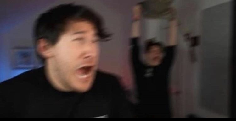 XylophoneWithAZ's tweet photo. I'm gonna miss unus annus, I really am. I'm gonna miss seeing these 2 idiots everyday. thank you for making my 2020 #UnusAnnusisoverparty #MementoMori https://t.co/YsXdIYGh0d