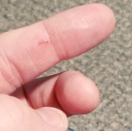 davidcroberson's tweet photo. So. I just cut THE. SHIT. out of my finger on the tip of Batfleck's kryptonite spear. #BatmanvSuperman #ToyProblems https://t.co/TM06G5FxRo