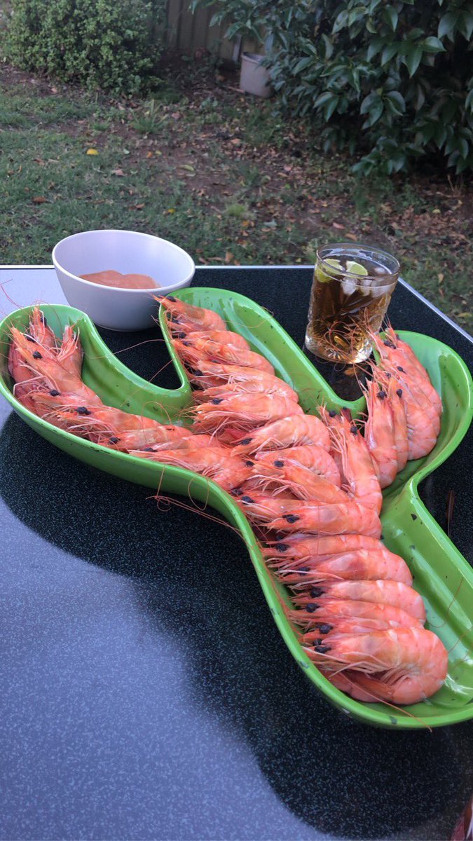 How stylish can you get. Prawns in a plastic cactus platter on our camp table in our backyard 🤷🏼‍♀️