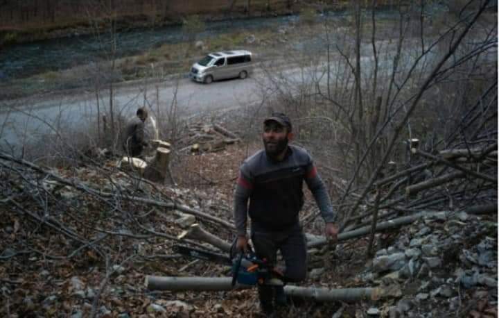 SenanNajafov's tweet photo. To cut down such #forests in #kelbejer...
For Me there is only one name of it! #Vandalism!!!! 

#KarabakhisAzerbaijan #VictoryofAzerbaijan https://t.co/BK2VisdEta