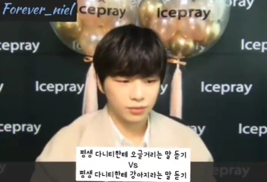 굿이브닝✨ tweet media