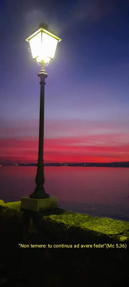 Laura Capello Capellolaura1 Twitter