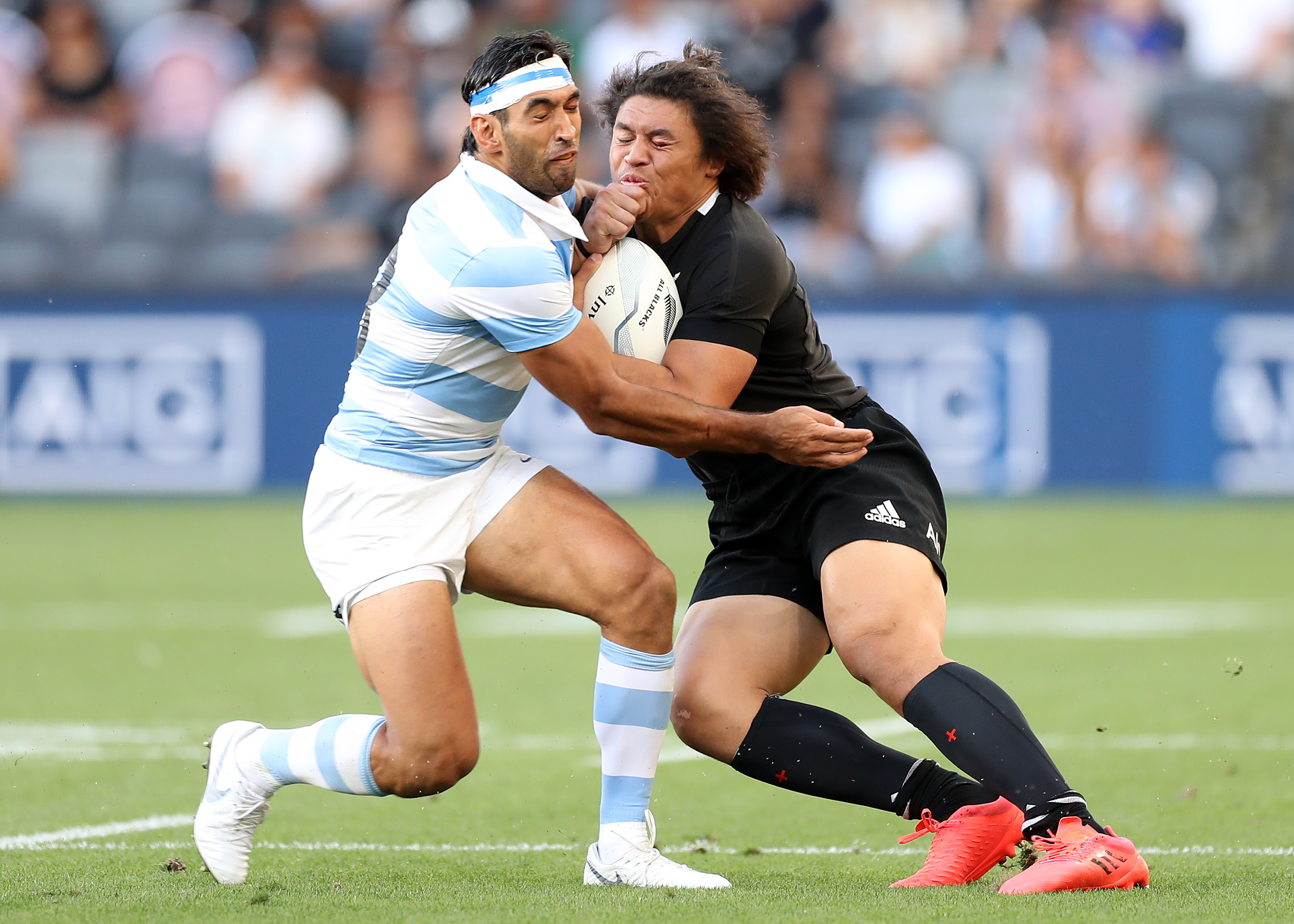 Partido all black top vs pumas 2019