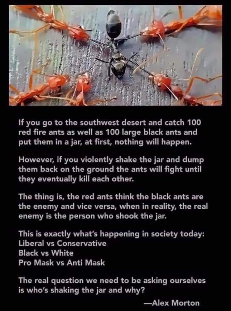 ragabonz's tweet image. 