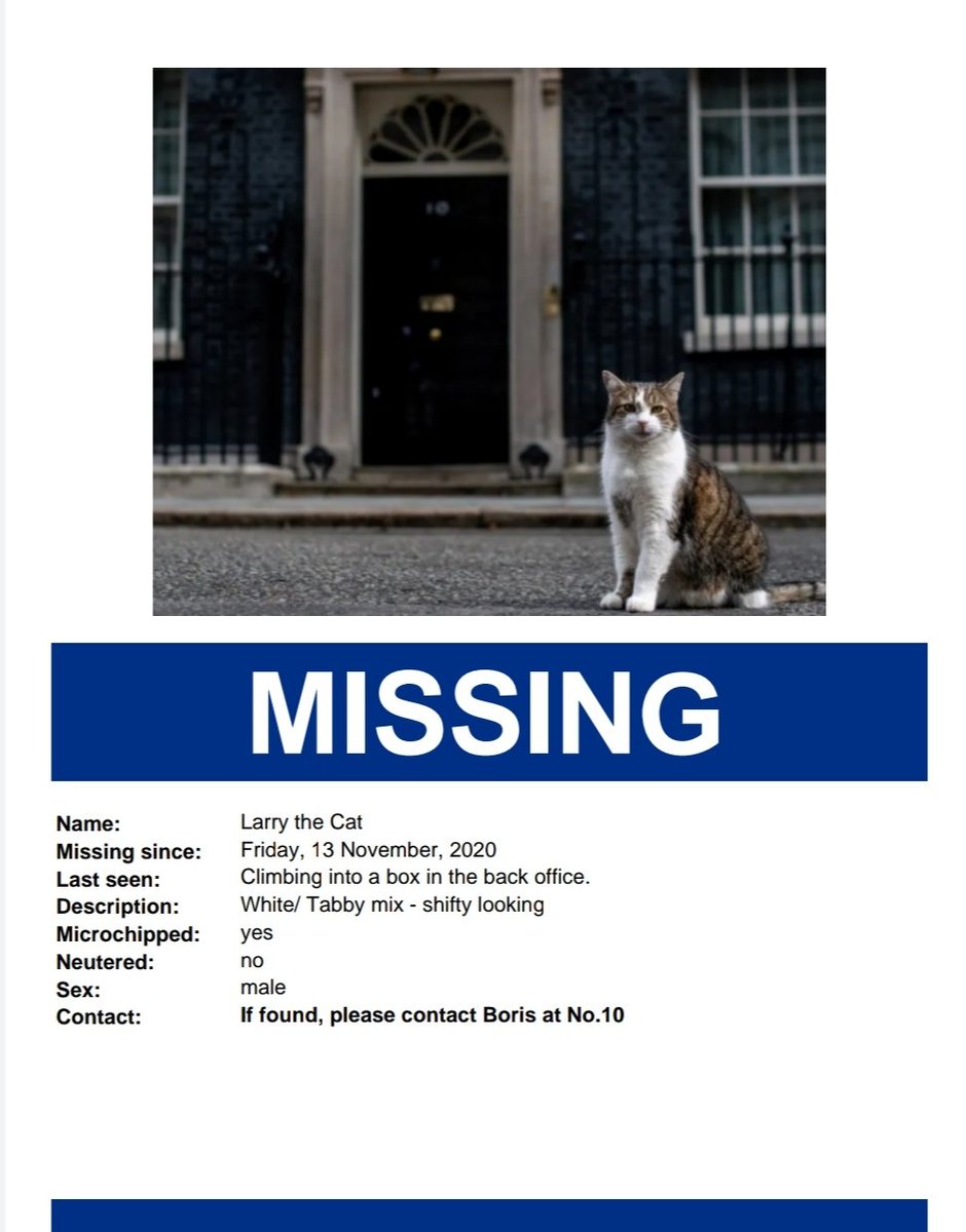 HarryStotle4's tweet photo. Just seen this on a lampost near Downing Street. @No10Cat are you ok? https://t.co/I8fkJcfA4K