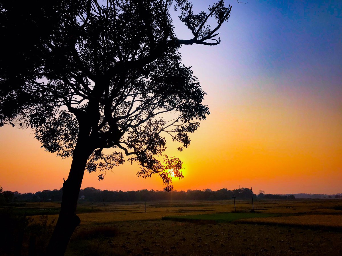 Bidhan72400471's tweet photo. #ig #naturelovers #vsco #lightroom #photoshoot #ilovelandscapes #photoshop #fashion #click #love #f #indian #visualambassadors #vscoindia #sunset #fofficial #model #camholders #portraitphotography #bokeh #like #portrait #fashionphotography #creative #canonphotography https://t.co/WNJM0DhWlc